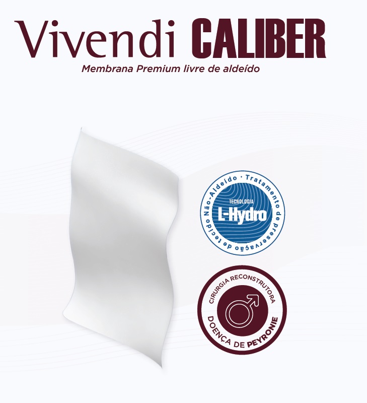 Vivendi Caliber - SITE